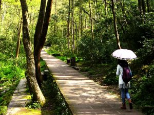 Zhangjiajie National forest park-Hiking in Golden whip stream